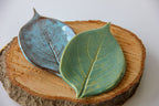 Two green plates in the shape of leaves, sitting on a round piece of wood placed on a white surface.