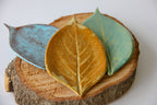 Three green plates in the shape of leaves, sitting on a round piece of wood placed on a white surface.