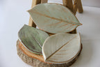 Three green plates in the shape of leaves, sitting on a round piece of wood placed on a white surface.