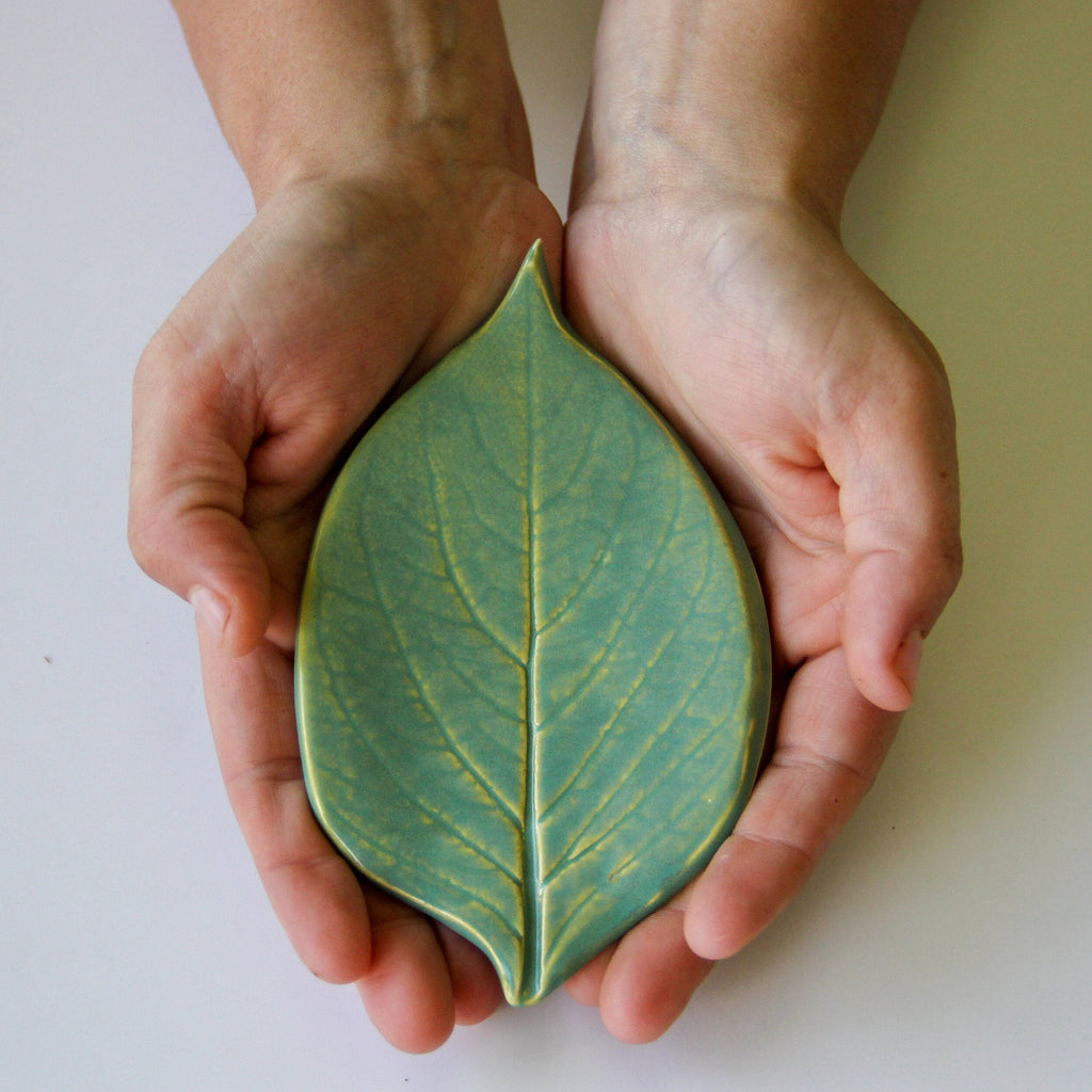 Green plate in the shape of a leaf held by a person on a white surface.