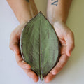 A green plate in the shape of a leaf held by a person.