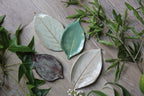 Four green plates in the shape of leaves, sitting on a round piece of wood with greenery placed on a white surface.