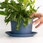 Geometric Oval Handmade Porcelain Planter