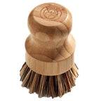 Wooden Koala Eco dish brush with bristles on a white background