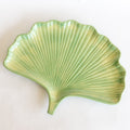 Green ginkgo leaf late on a white background.