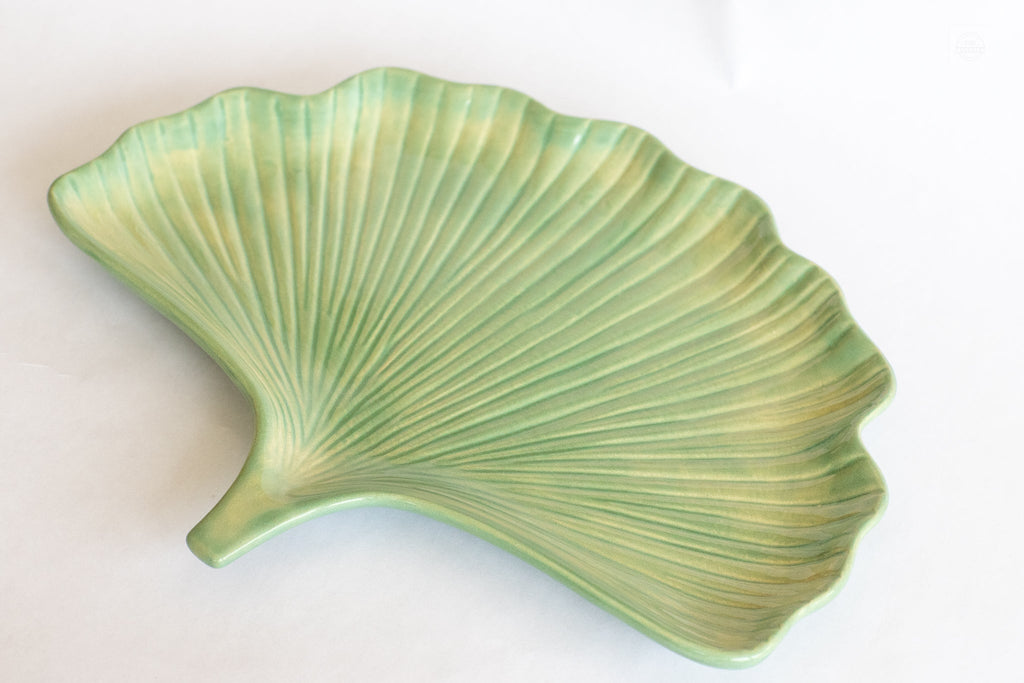 Green ginkgo leaf plate on a white surface.