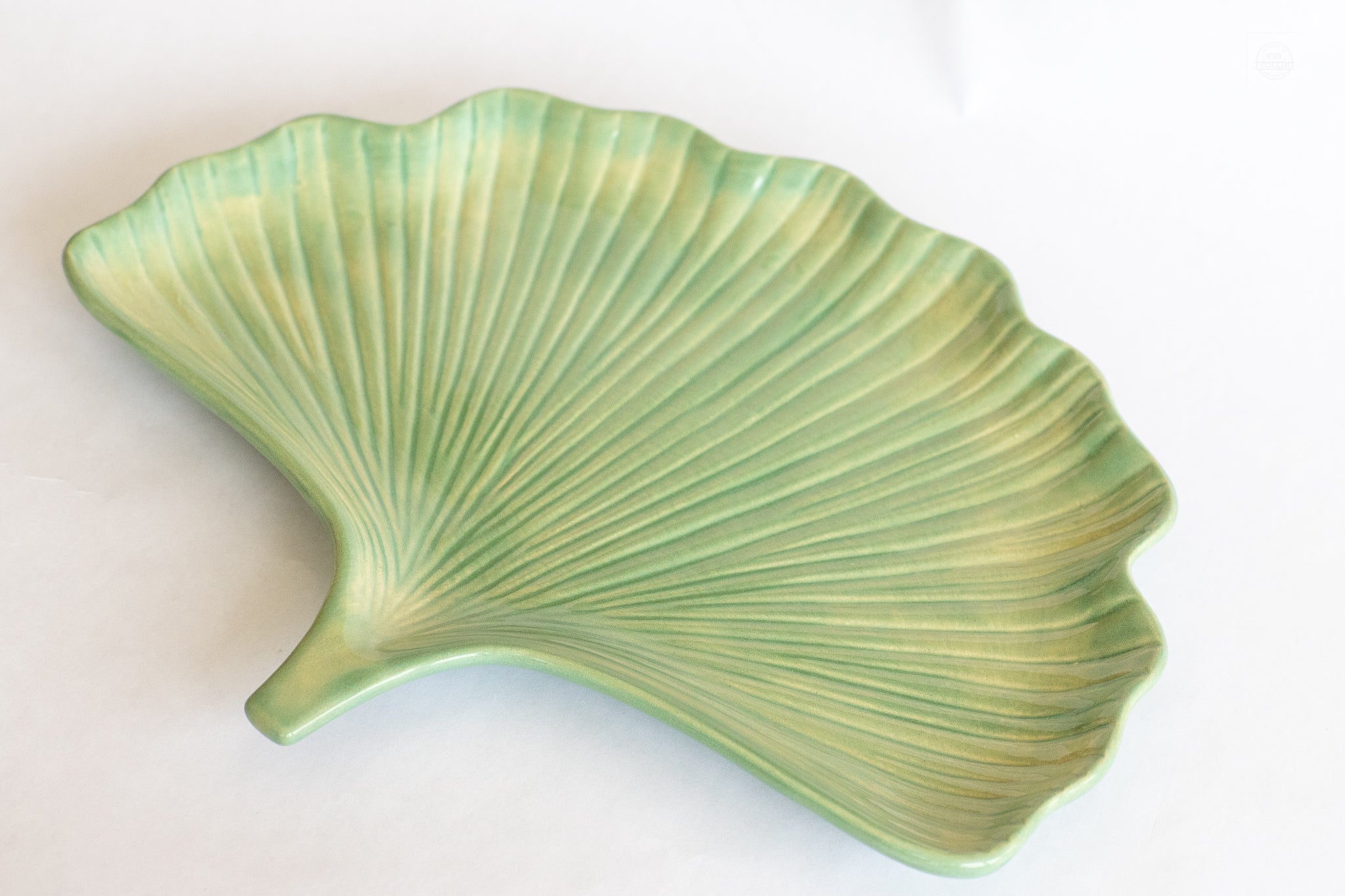 Green ginkgo leaf plate on a white surface.