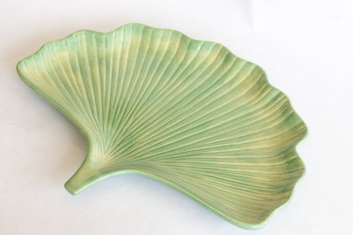Green ginkgo leaf plate on a white surface.