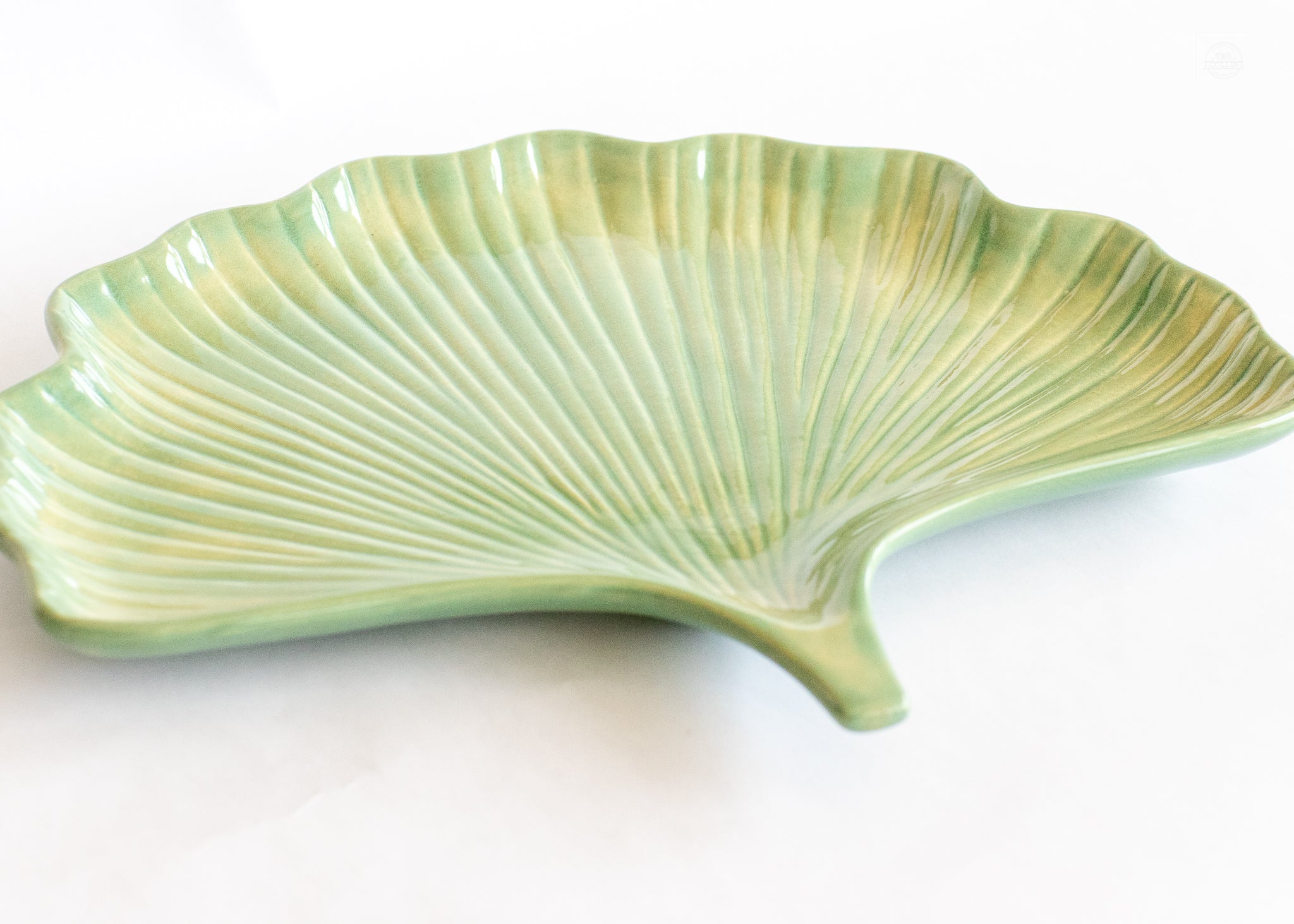 Green ginkgo leaf plater on a white background.