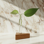 Teak Triangle Propagation Vase - Crescent Style Light & Creamy